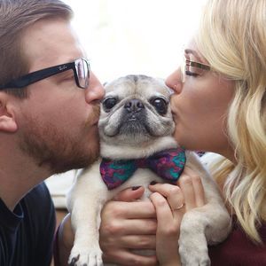 Meet your Posher, Jamie